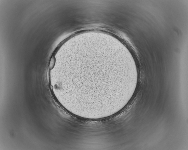 X0000111051320200908061509