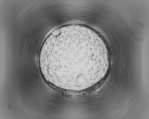 X0000111051321200908061509