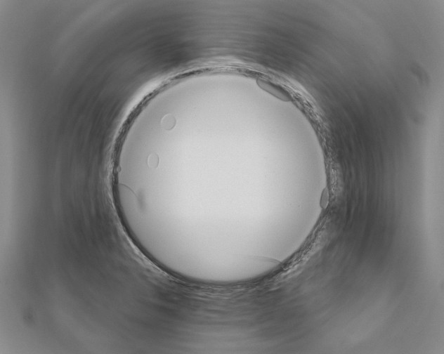 X0000111051326200908061510