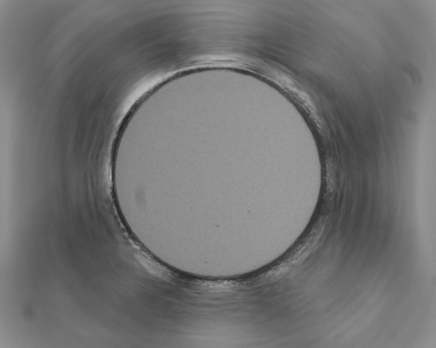 X0000111051328200908061510