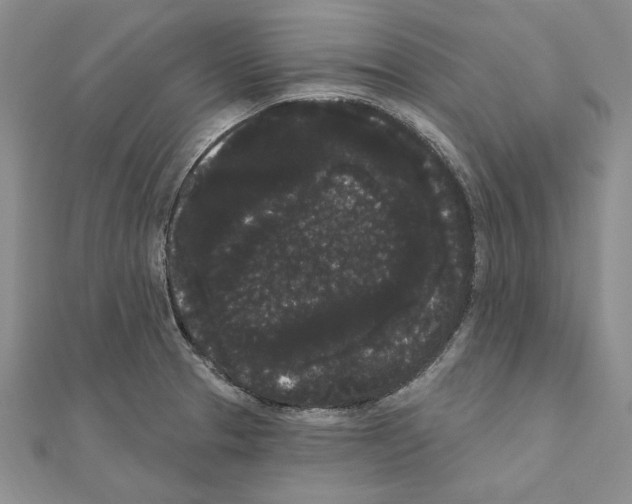 X0000111051329200908061510