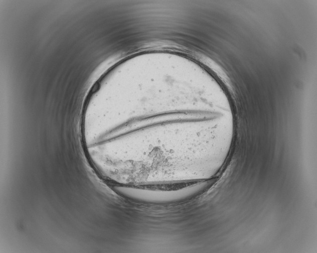 X0000111051330200908061510