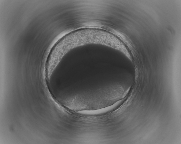 X0000111051331200908061510