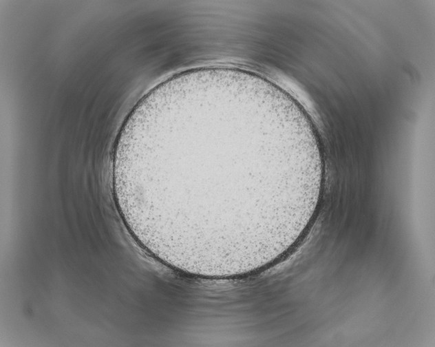 X0000111051332200908061510