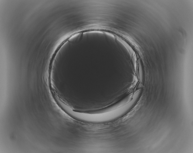 X0000111051334200908061510