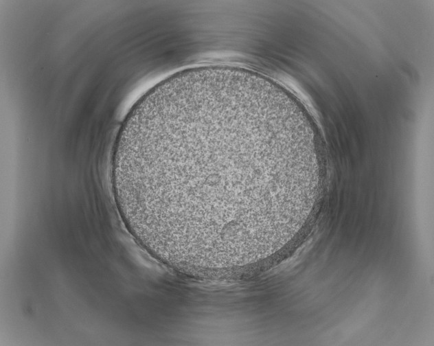 X0000111051336200908061510