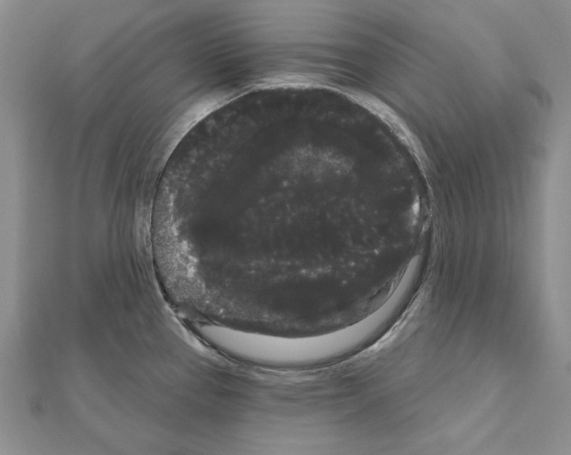 X0000111051337200908061510