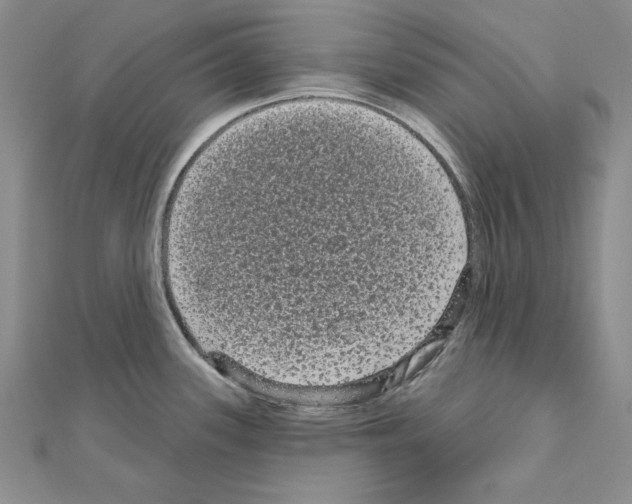 X0000111051339200908061510