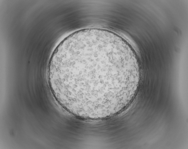 X0000111051340200908061510