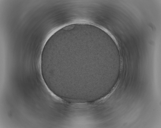 X0000111051343200908061510