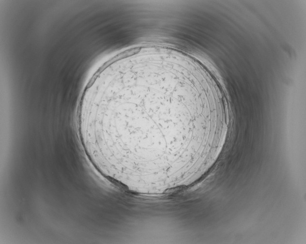 X0000111051344200908061510