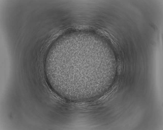 X0000111051345200908061509