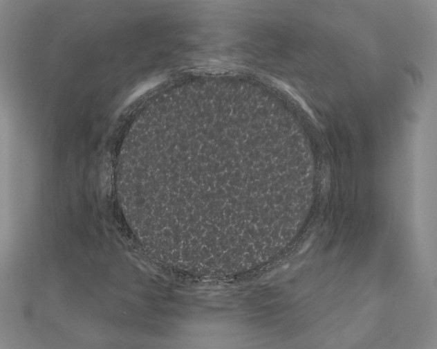 X0000111051350200908061509