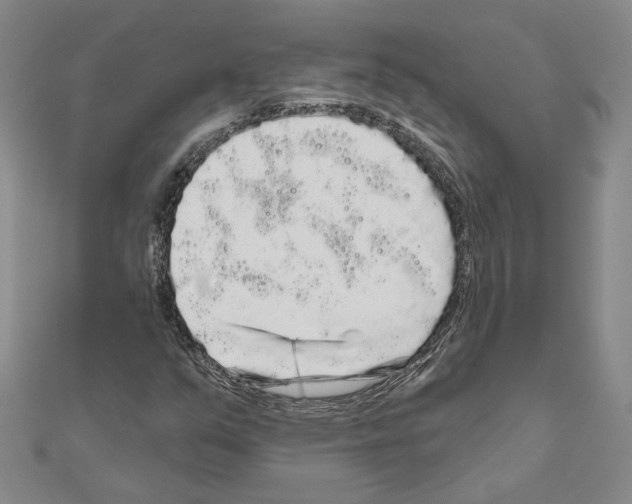 X0000111051351200908061509