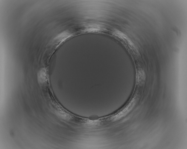 X0000111051353200908061509