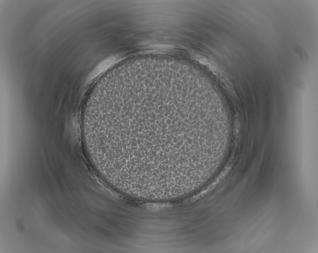 X0000111051354200908061509