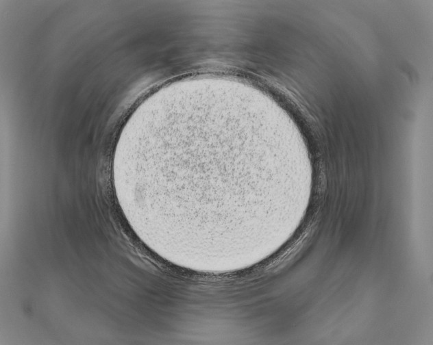 X0000111051355200908061509