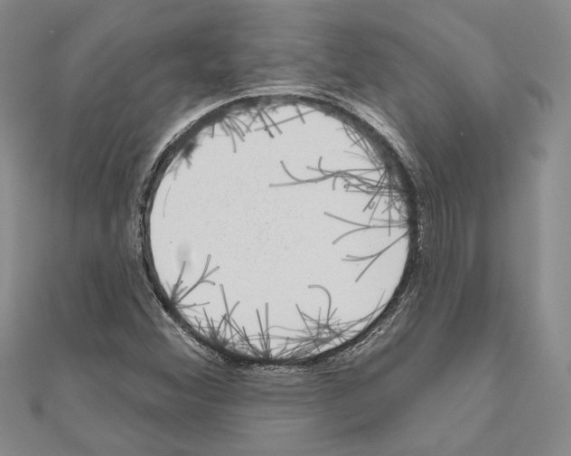 X0000111051356200908061509