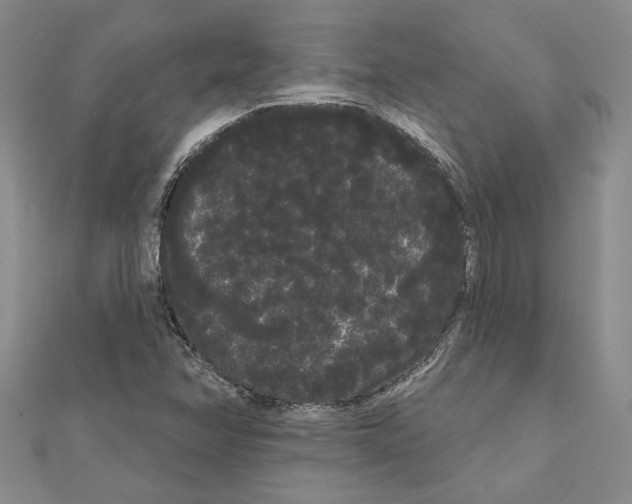 X0000111051358200908061509