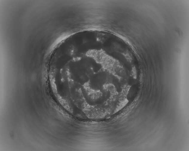 X0000111051359200908061509