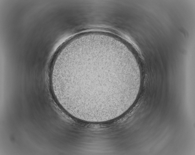 X0000111051360200908061509