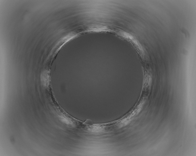 X0000111051361200908061509