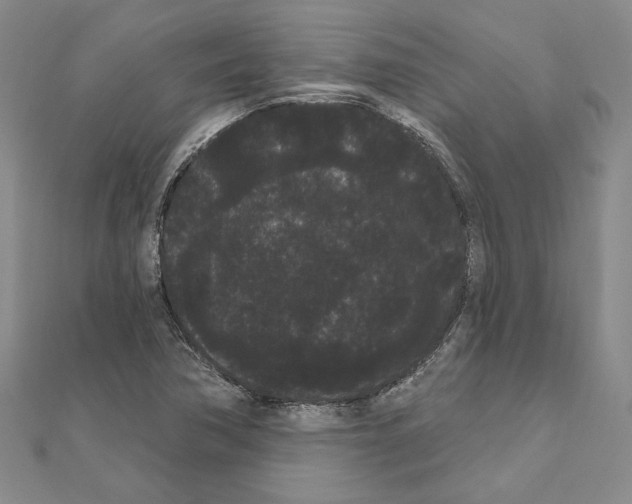 X0000111051362200908061509