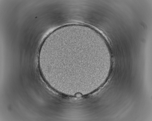 X0000111051363200908061509