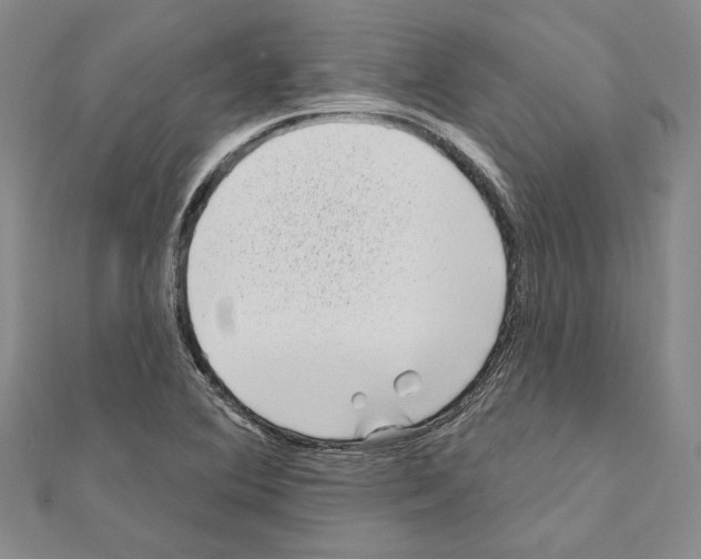 X0000111051364200908061509