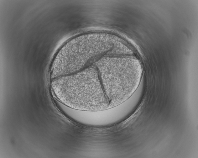 X0000111051365200908061509