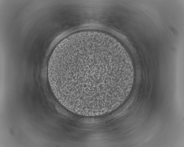 X0000111051366200908061509