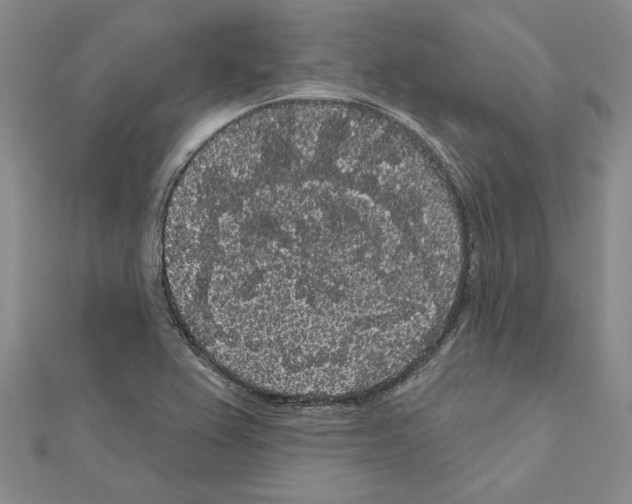 X0000111051367200908061509