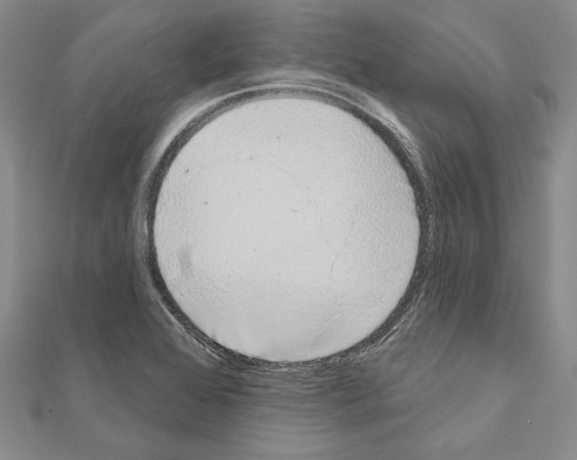 X0000111051368200908061509