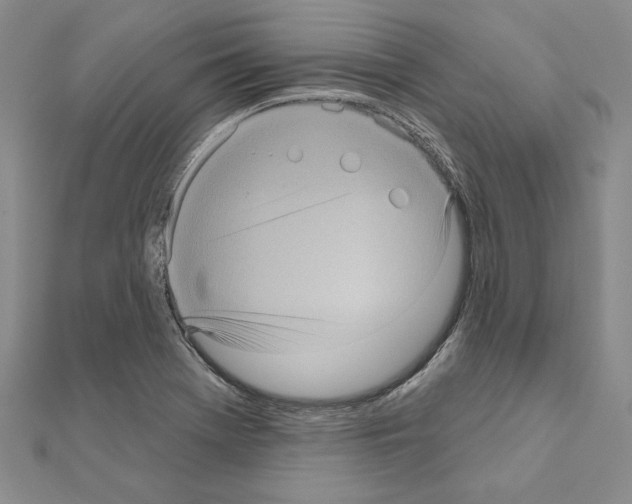 X0000111051369200908061509