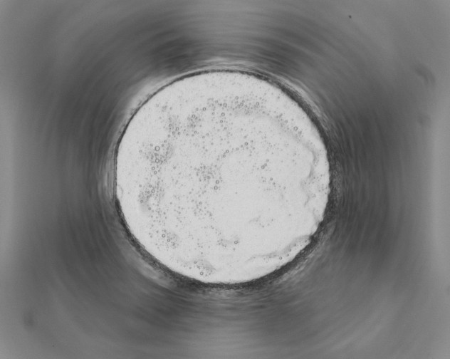 X0000111051371200908061509