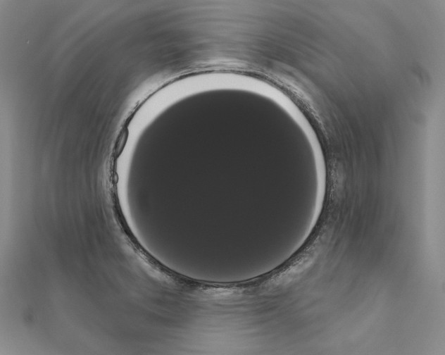 X0000111051373200908061509