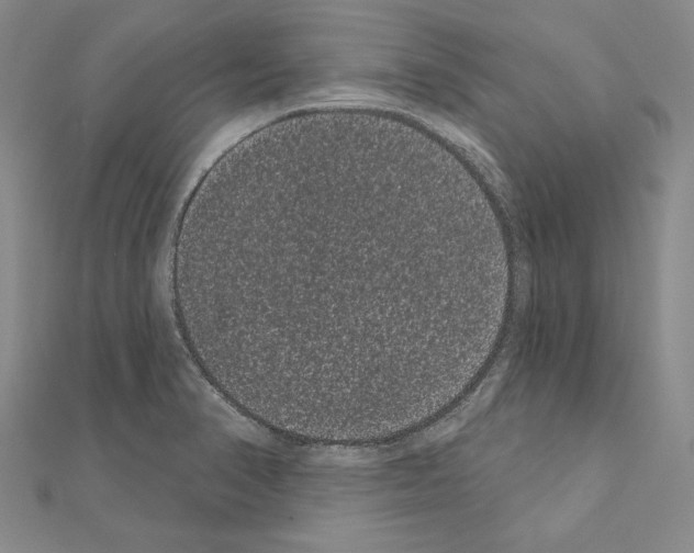 X0000111051374200908061509