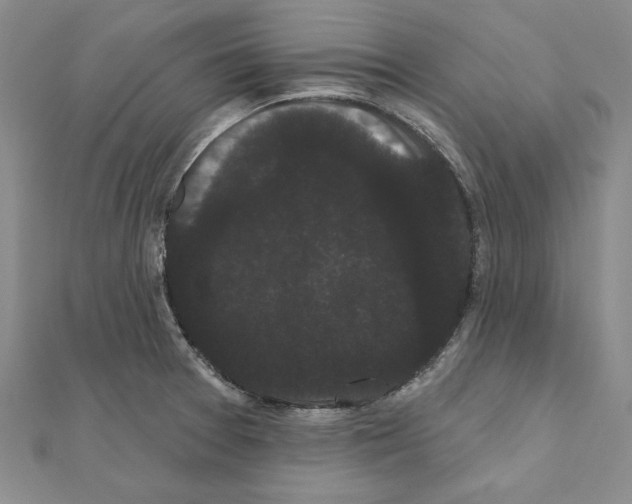 X0000111051377200908061509