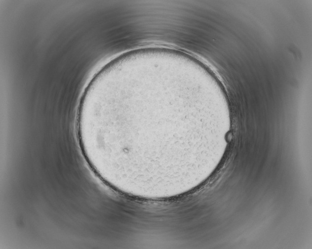 X0000111051379200908061509