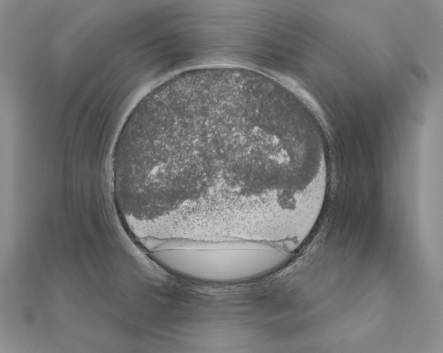 X0000111051380200908061509