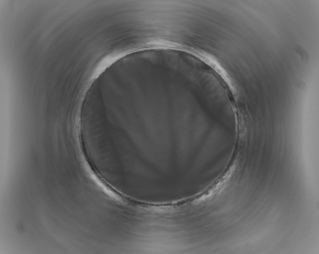 X0000111051381200908061509