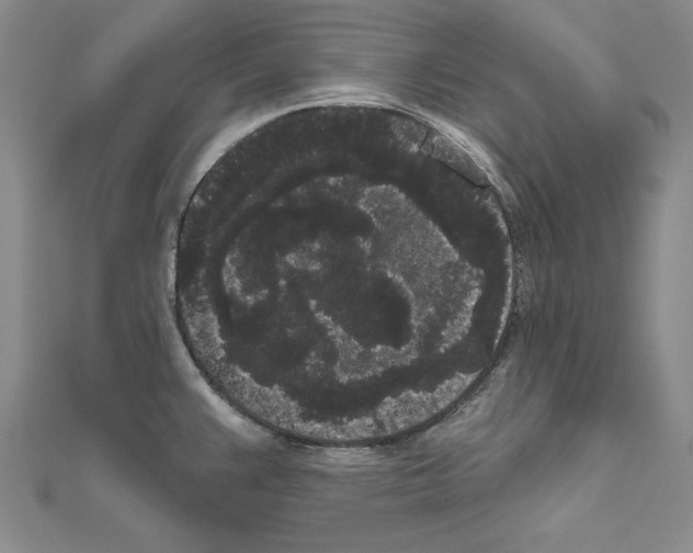 X0000111051383200908061508