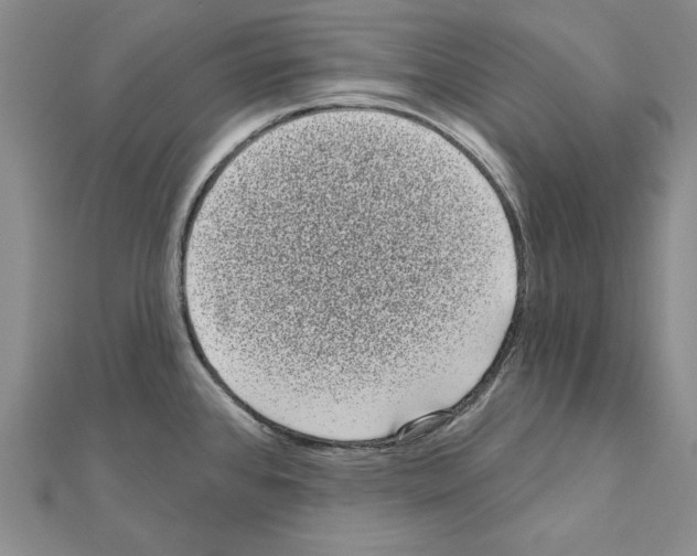 X0000111051384200908061508