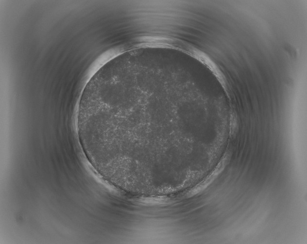 X0000111051386200908061508