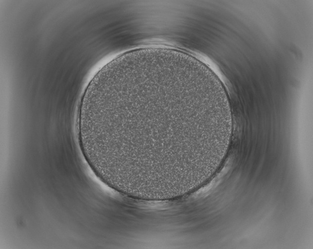 X0000111051387200908061508