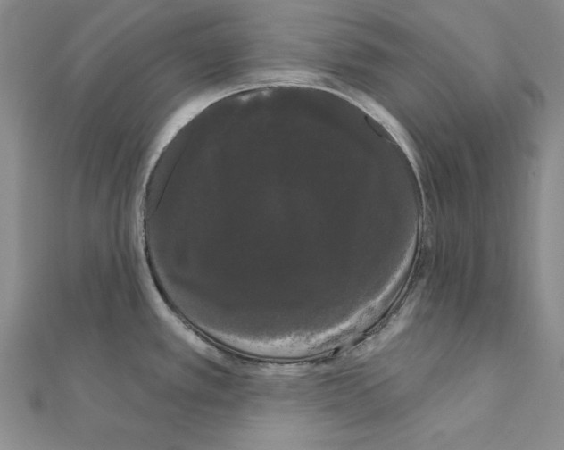 X0000111051389200908061508