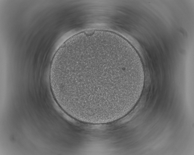 X0000111051390200908061508