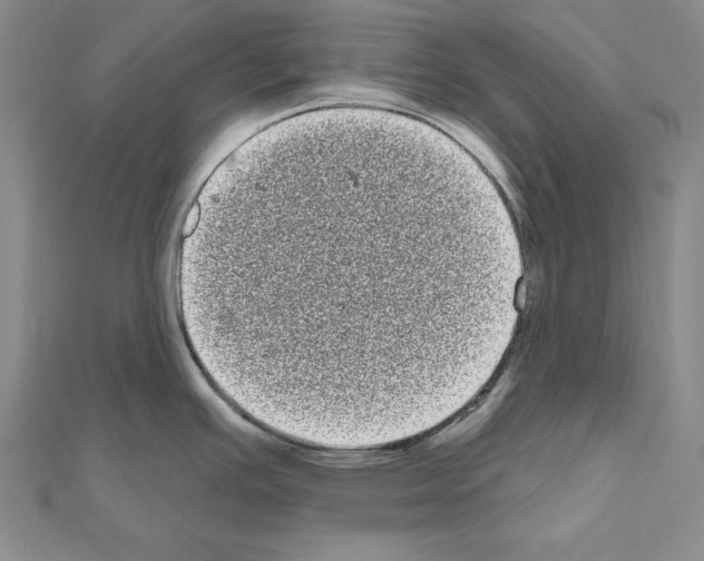 X0000111051391200908061508