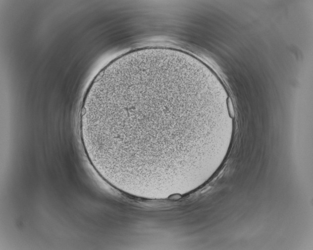 X0000111051392200908061508