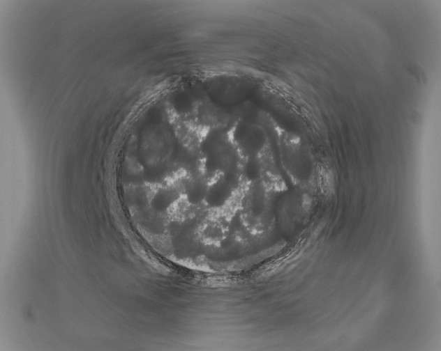 X0000111051393200908061508